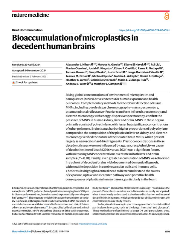 Paper: Bioaccumulation in Human Brains