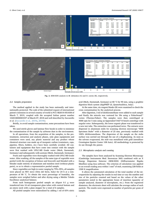 SEM of microplastics in apple and carrot