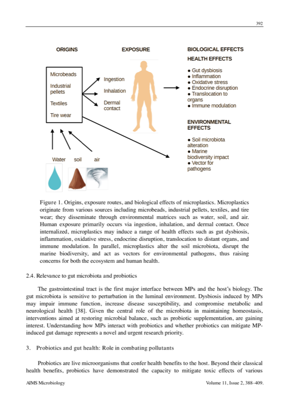 Exposure routes and biological effects diagram