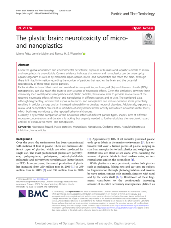 Paper: The Plastic Brain
