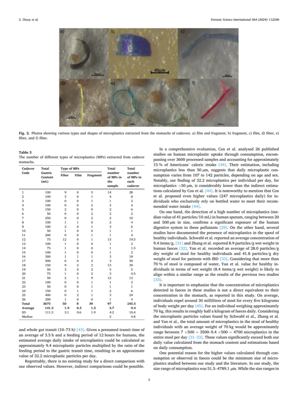 Photographs of microplastic particles from cadaver stomachs