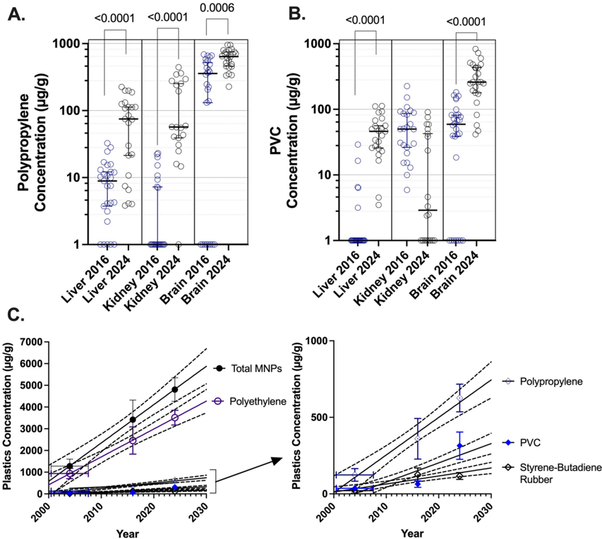 Extended Data Figure 2: PP and PVC concentrations increasing over time across organs, with linear regression for total plastics and specific polymers in brain samples