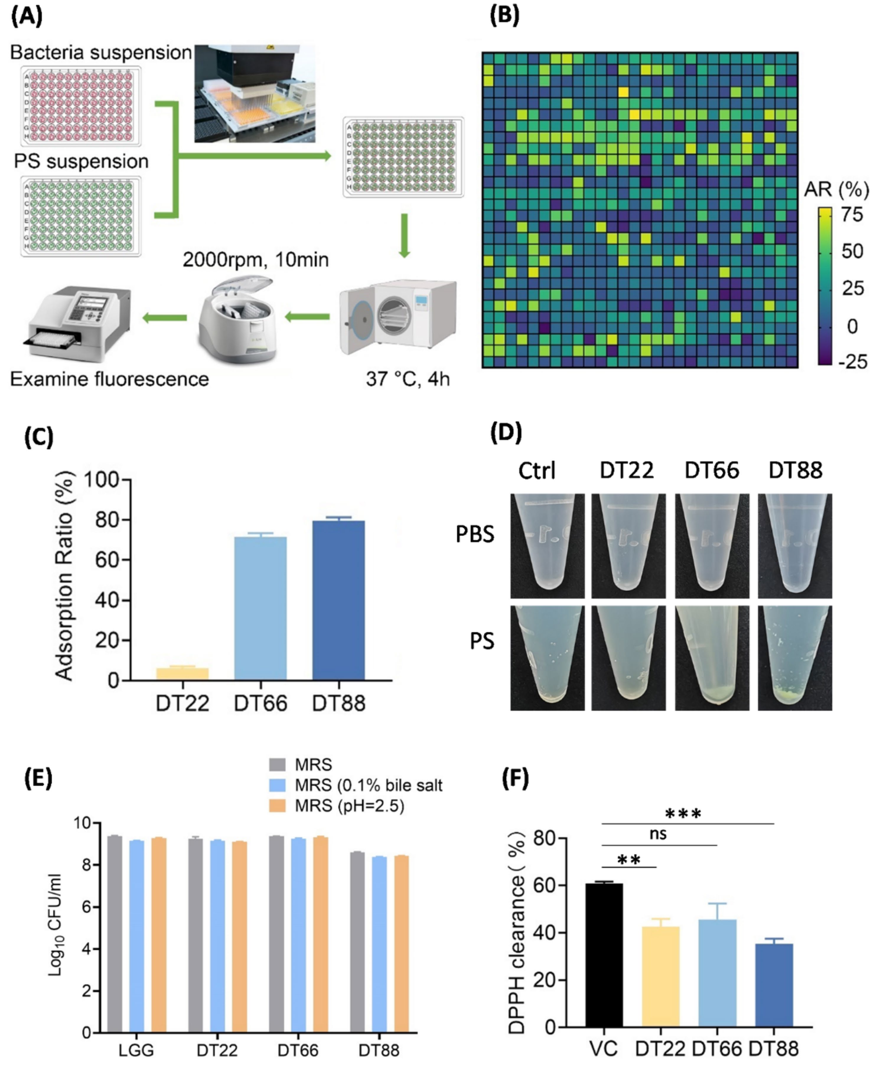 Six-panel figure showing high-throughput screening of 784 bacterial strains for microplastic adsorption